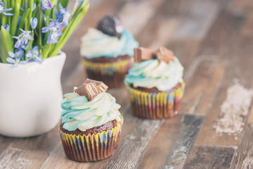 Handmade chocolate muffins with decorations. Book and a bouquet of Scilla