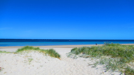 Beach in South Australia