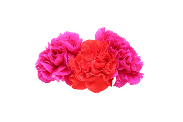 カーネーションの花束