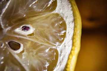 macro lemon slice
