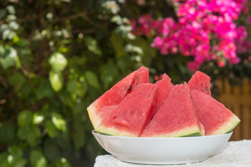 Fresh ripe sliced watermelon on green tree background