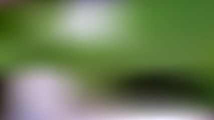 Delicate shades. Soft color gradients. Harmonious colors. Soft color backing abstract.