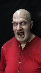 Fototapeta premium Obese Creeper 1