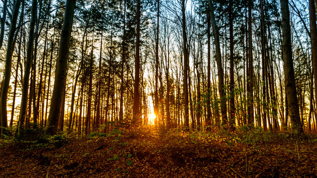 Sonnenuntergang Hardt