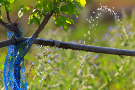 Irrigation