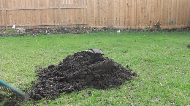 raking pile of top soil