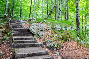 stone stairs in a forest in Triglav National Park, Julian Alps, Slovenia