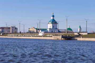 Fototapeta na wymiar seagulls on the background of the assumption Church in Cheboksary,filmed on a Sunny spring day