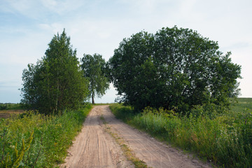 The road in the field in village