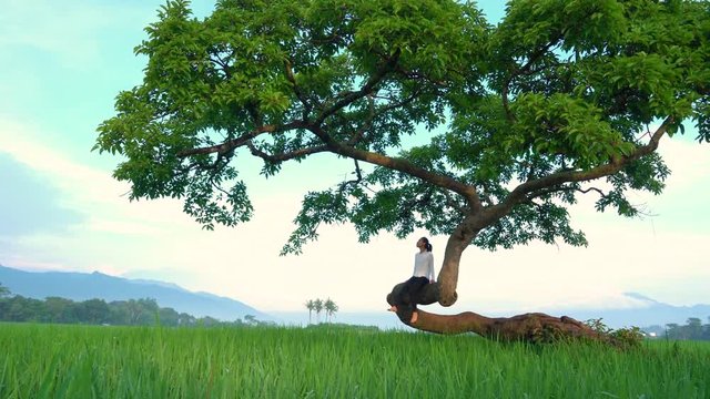 Young woman enjoying holiday while relaxing and sitting on a big tree branch at rice field. Shot in 4k resolution