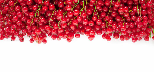 Frame of red currant berries on white background