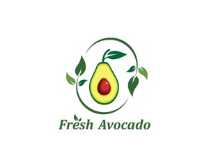 avocado illustration vecto
