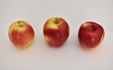 Three red and yellow apples in a row with a white background, stems visible