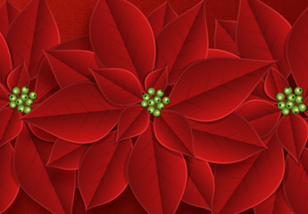 Background decorated with beautiful red buds poinsettia flowers