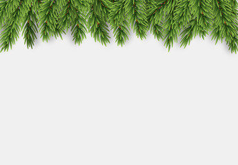 Obraz premium Christmas border with fir branches.
