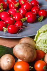 young woman in a gray apron cuts a radish
