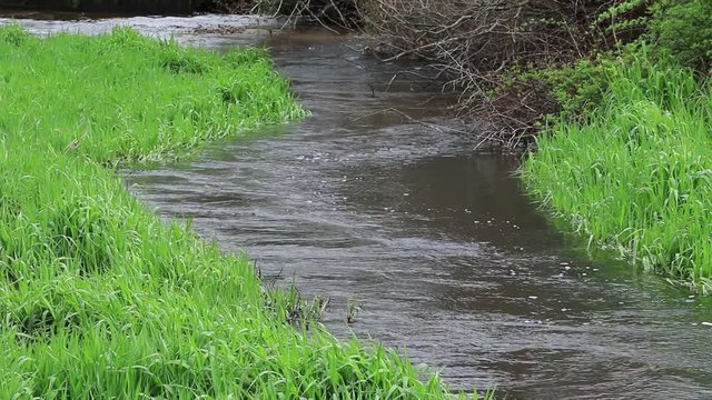 Water flowing downstream after a heavy rain storm