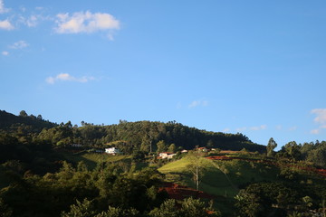 mountain
