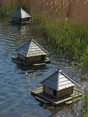 Bird houses floating on the pond