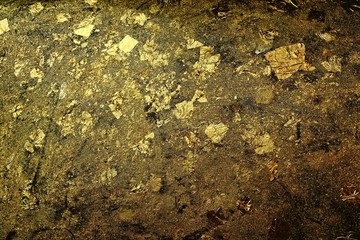 Gold Leaves on Wall Texture Background.