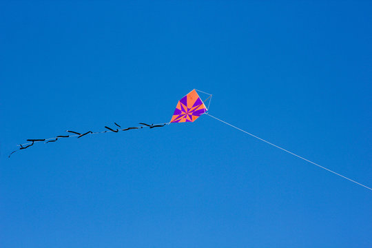 Kite in the blue sky