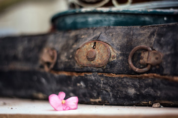 Violin Case flowers