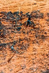 A Pair of Rock Climbers