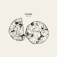 Chocolate chip cookie, hand draw sketch vector.