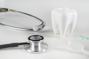 dental  concept Dental model and dental equipment dental hygiene Dentist tools