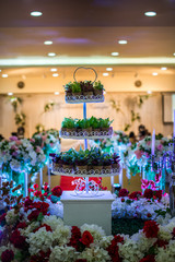 Close-up beautiful wedding cake (plant trees)