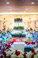 Close-up beautiful wedding cake (plant trees)