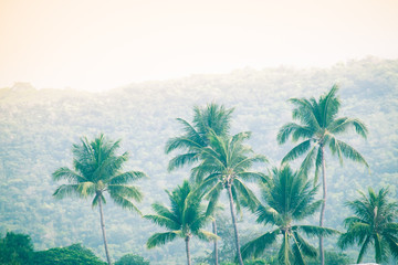 Obraz na płótnie Canvas Coconut trees on the beach and mountains