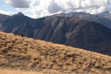 Bealey Spur, Arthur's Pass National Park, New Zealand, South Island