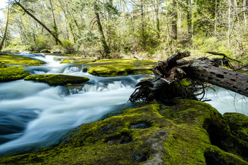 stream of water rushing down green moss covered rocks inside forest in the park passing a fallen tree trunk