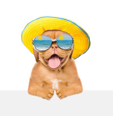 Funny dog with mirrored sunglasses and summer hat peeking above empty white banner. isolated on white background