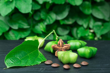 Sacha Inchi, fresh capsule seeds fruit of sacha-Inchi peanut 