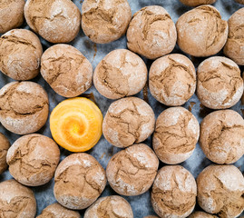Bright yellow corn bun on backgraund and surrounded by rye buns.