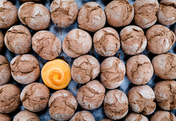 Bright yellow corn bun on backgraund and surrounded by rye buns.