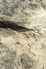 detailed sandstone surface texture under the sun