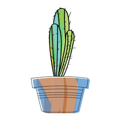 Watercolor cactus in a pot plant. VEctor illustration design