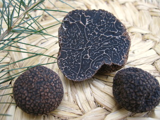 Truffle (Tuber sinense)