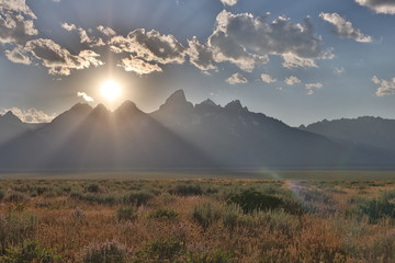 Nature in the Grand Tetons