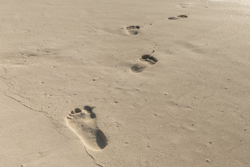 Summer vacation background. Footprints on the ocean sand
