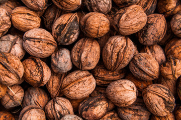 Background of walnuts. Many nuts