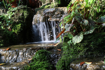 Fototapeta premium Movement water of waterfall on the rock with green moss and lichen.