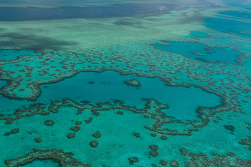 Luftaufnahme beim Helikopter-Rundflug über das Great Barrier Reef