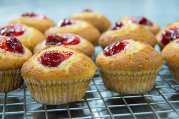  delicious muffin in cup for breakfast