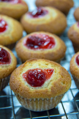  delicious muffin in cup for breakfast