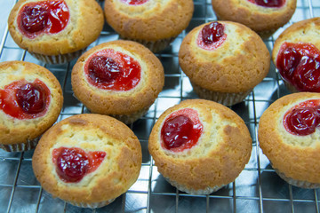  delicious muffin in cup for breakfast