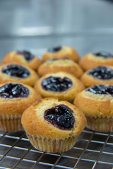 A blueberry muffin